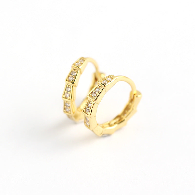 S925 Sterling Silver Rhinestone Geometric Snake Design Women's Earrings Fashion Office Style
