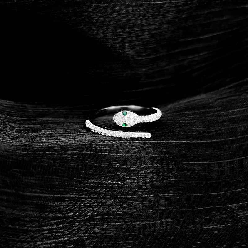 Snake Shape Titanium Steel Polished Minimalist Ring for Unisex