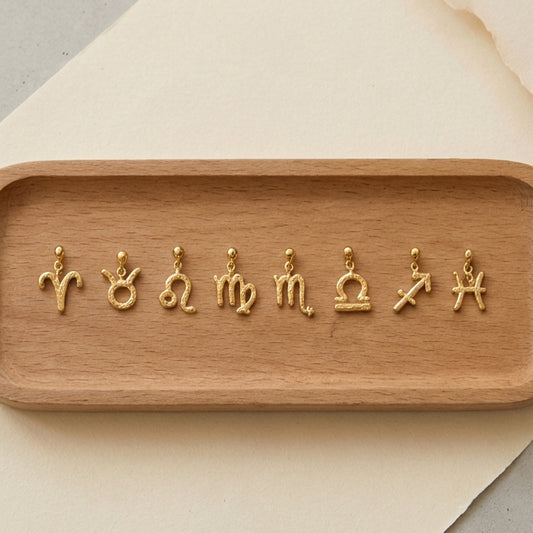 Zodiac Pattern Stainless Steel PVD Pendant