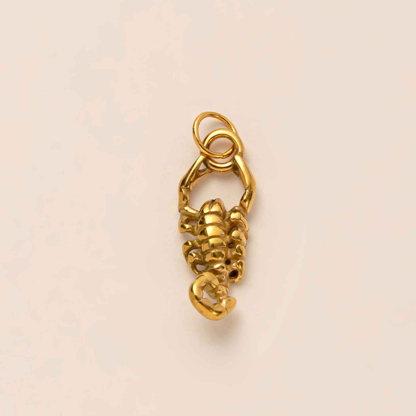Ciondolo Bar Minimalista Geometrico a Forma di Animale in Acciaio Inox Placcato Oro 18K PVD per Collana con Catena a Cavo