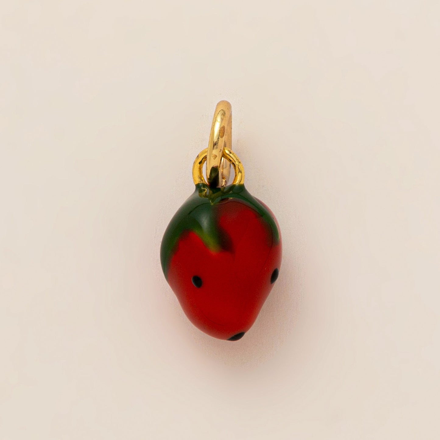 Minimalist Gold Plated Brass Plant Charm Bar for Shoes