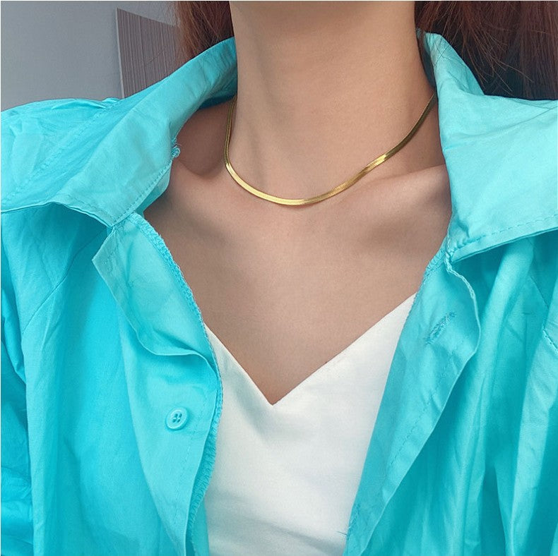 Collana a Catena a Serpente Minimalista Geometrica Placcata in Acciaio al Titanio per Unisex Stile Medaglione