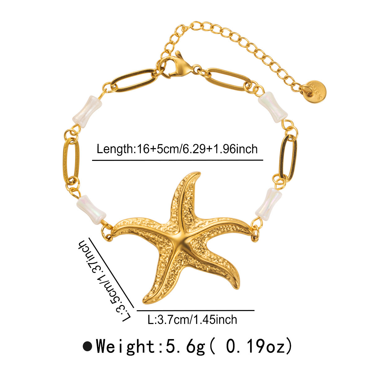 Collana con pendente a forma di stella marina vintage in acciaio inossidabile con catena a conchiglia da donna