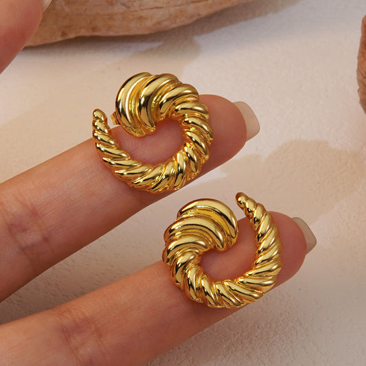 Minimalist Geometric Irregular Spiral Stainless Steel Earrings