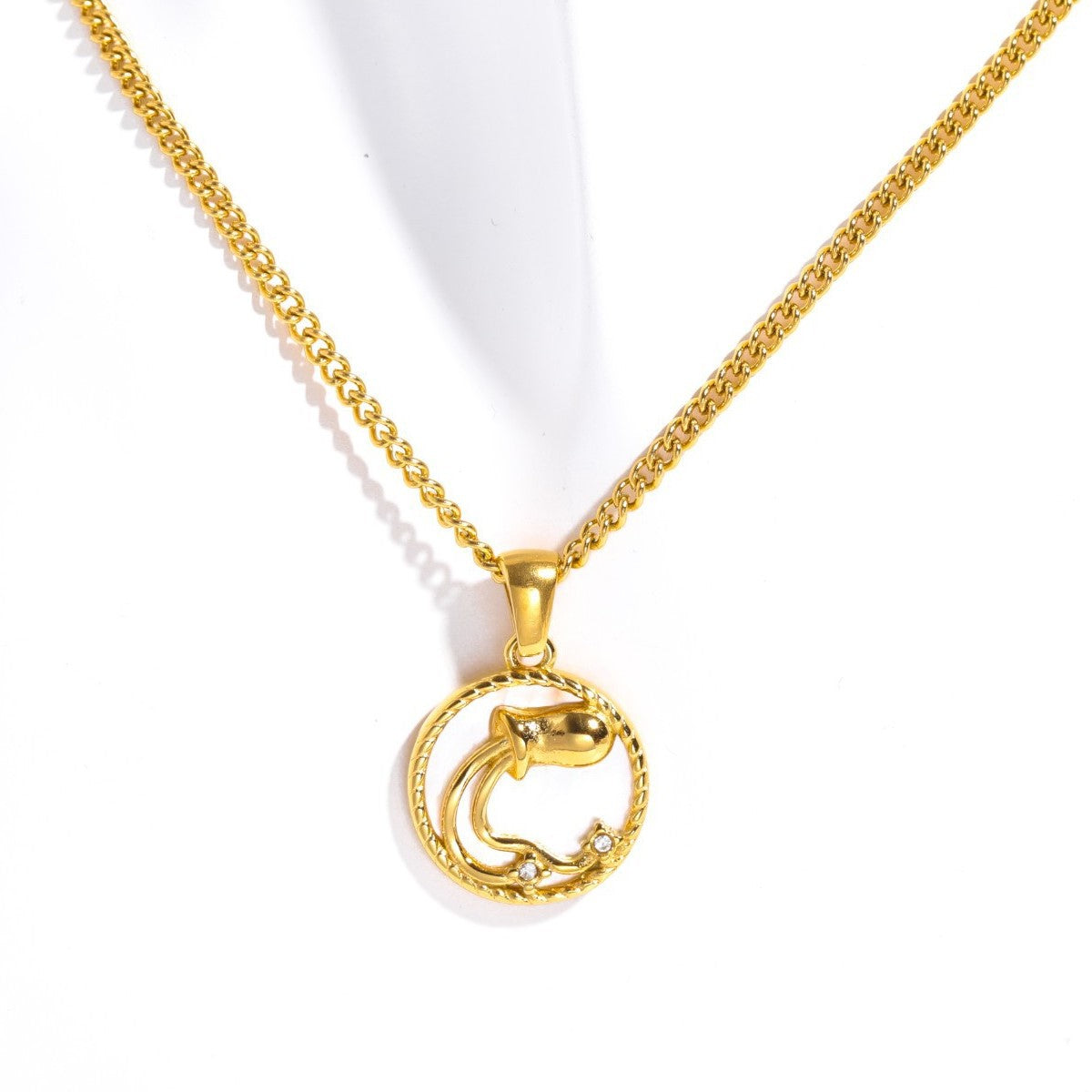 18K Gold Plated Titanium Steel Round Zodiac Coin Necklace PVD Finish Unisex