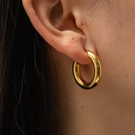 Minimalist Geometric Circle Stainless Steel Earrings for Women with Plated Finish