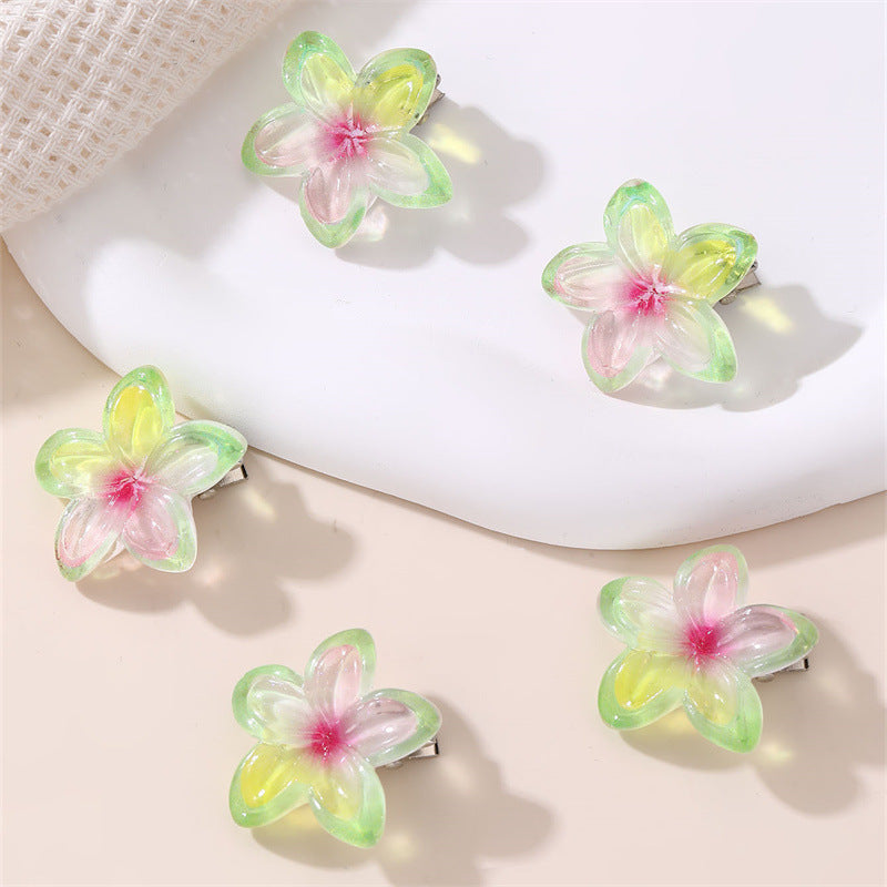 Set di fermagli per capelli a forma di fiocco in stile naturale per ragazze con design floreale sfumato, fermagli a becco d'anatra in resina plastica, accessori per capelli per bambini fatti a mano