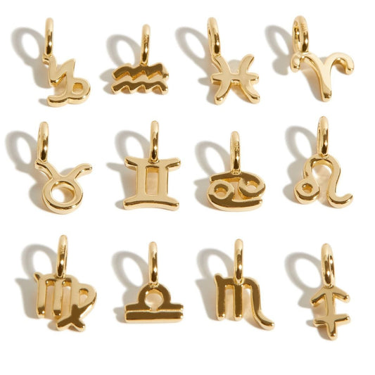 Elegant Stainless Steel PVD Zodiac Charm Bar Necklace