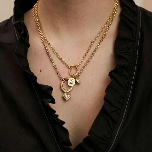Elegant 18K Gold Plated Stainless Steel Heart Horseshoe Cubic Zirconia Necklace