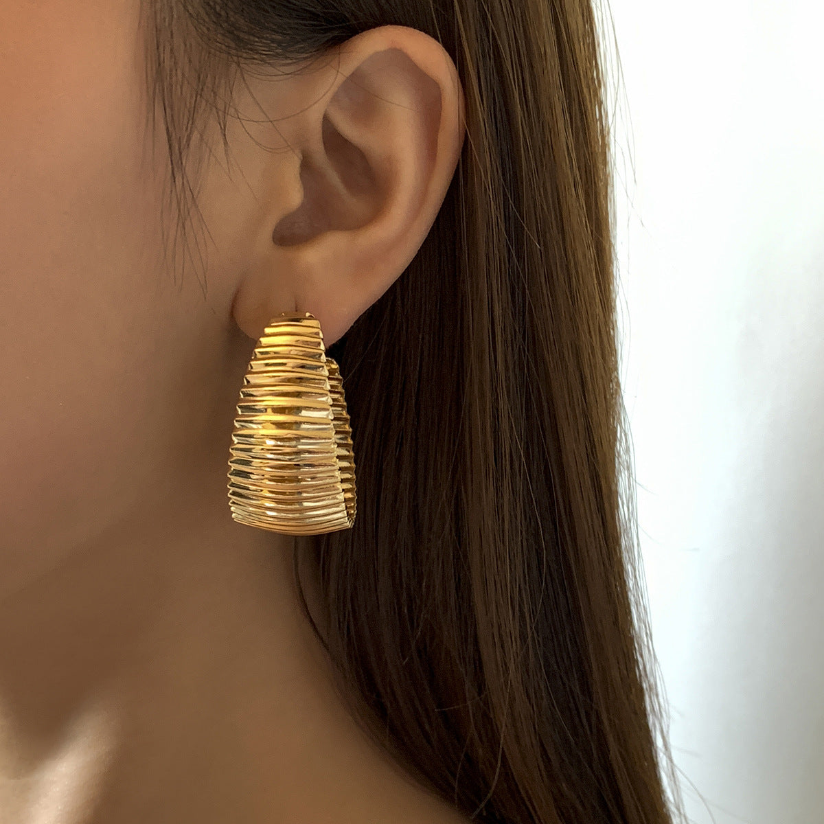 Punk Hip-hop Geometric Plated Iron Earrings