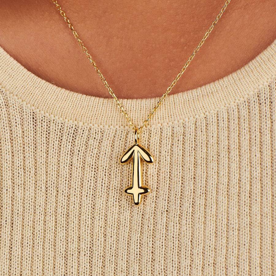 Elegant Stainless Steel PVD Zodiac Charm Bar Necklace