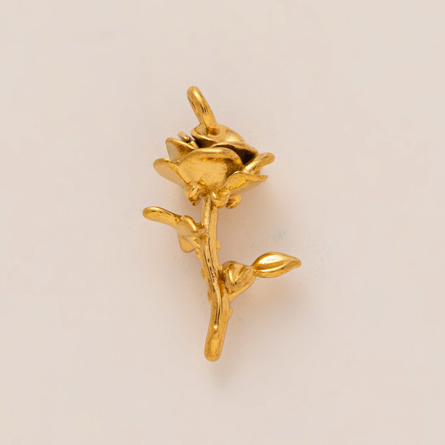Collana con ciondolo a frusta unisex in acciaio inossidabile placcato oro 18 carati