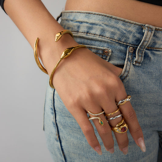 Snake Shape Titanium Steel Plated Stainless Steel Women's Luxury Bracelet Jewelry Set with Earrings