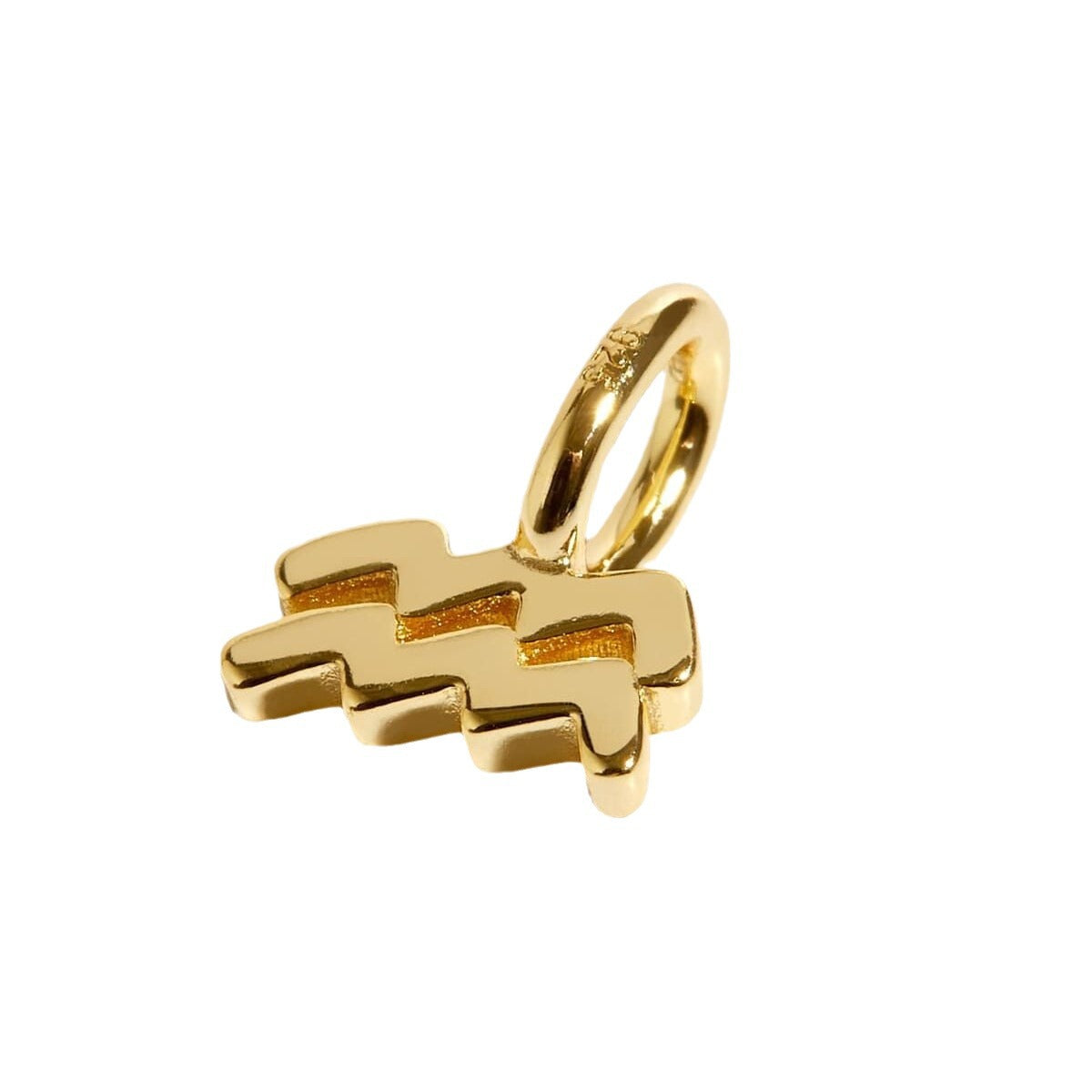 Elegant Stainless Steel PVD Zodiac Charm Bar Necklace