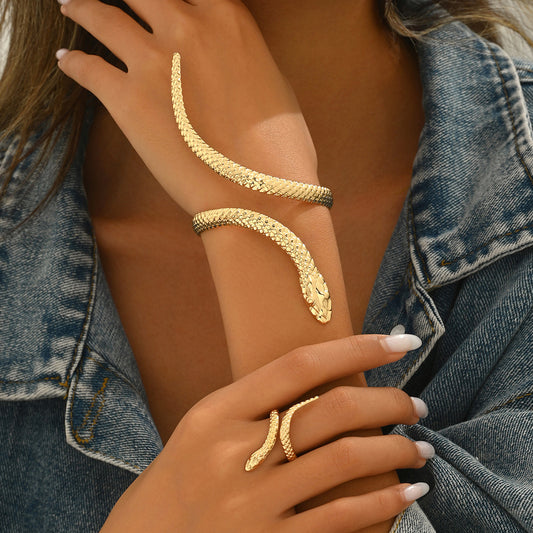 Conjunto ajustable de pulsera y anillo para mujer con diseño de serpiente de aleación galvanizada y joyería de mano con temática animal geométrica