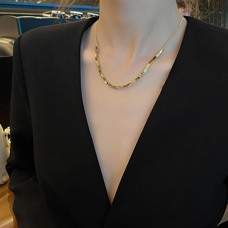 Collana da donna a catena serpente placcata in acciaio al titanio geometrica minimalista