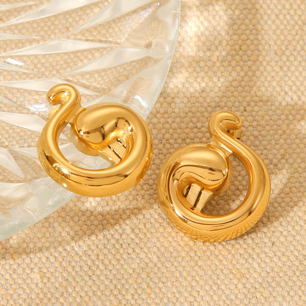 Geometric Note Stainless Steel Earrings for Women with Plated Finish