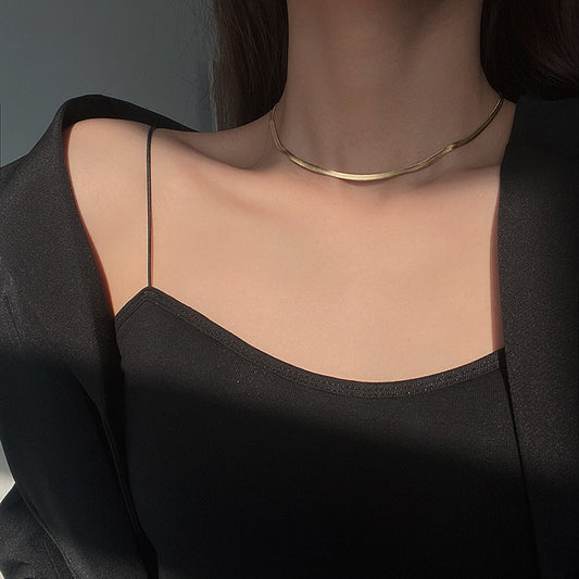 Minimalist Geometric Titanium Steel Plated Snake Chain Necklace for Unisex Locket Style