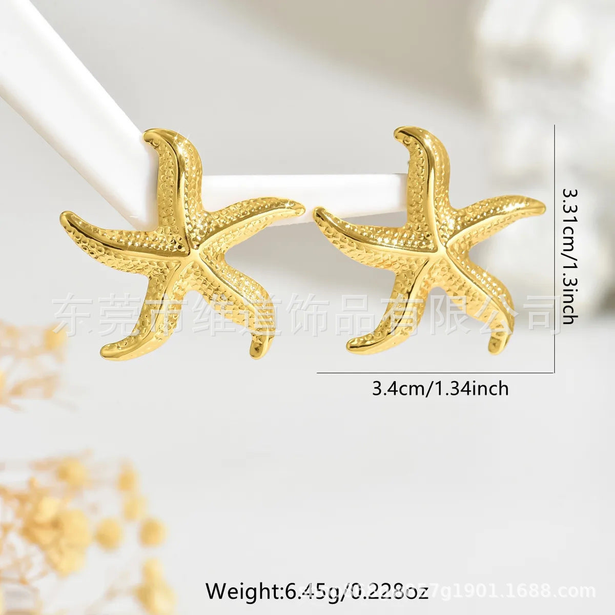 Beach Style Stainless Steel Geometric Starfish Shell Stud Earrings for Women