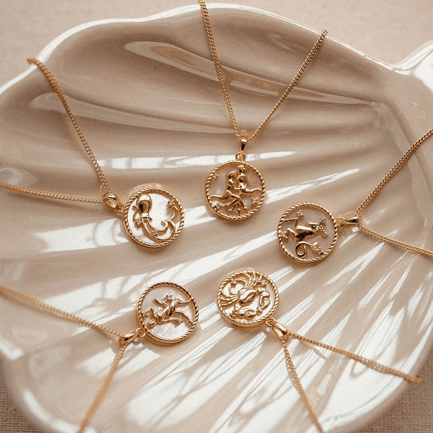 18K Gold Plated Titanium Steel Round Zodiac Coin Necklace PVD Finish Unisex