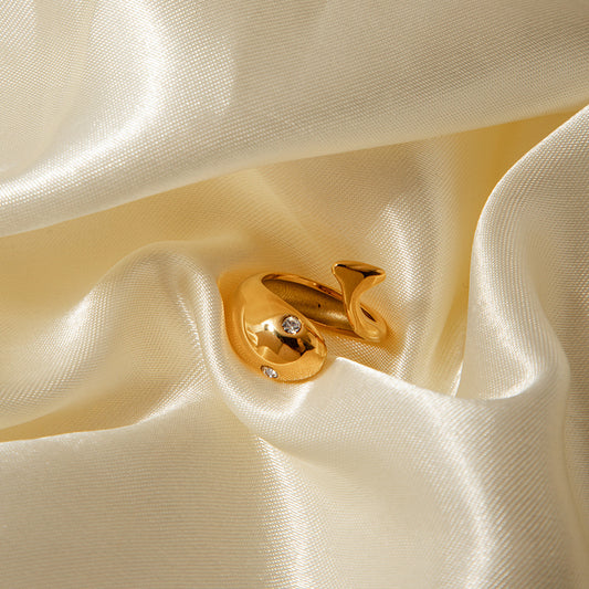 Anello in acciaio al titanio con placcatura in oro 18 carati a forma di pesce geometrico regolabile in stile INS
