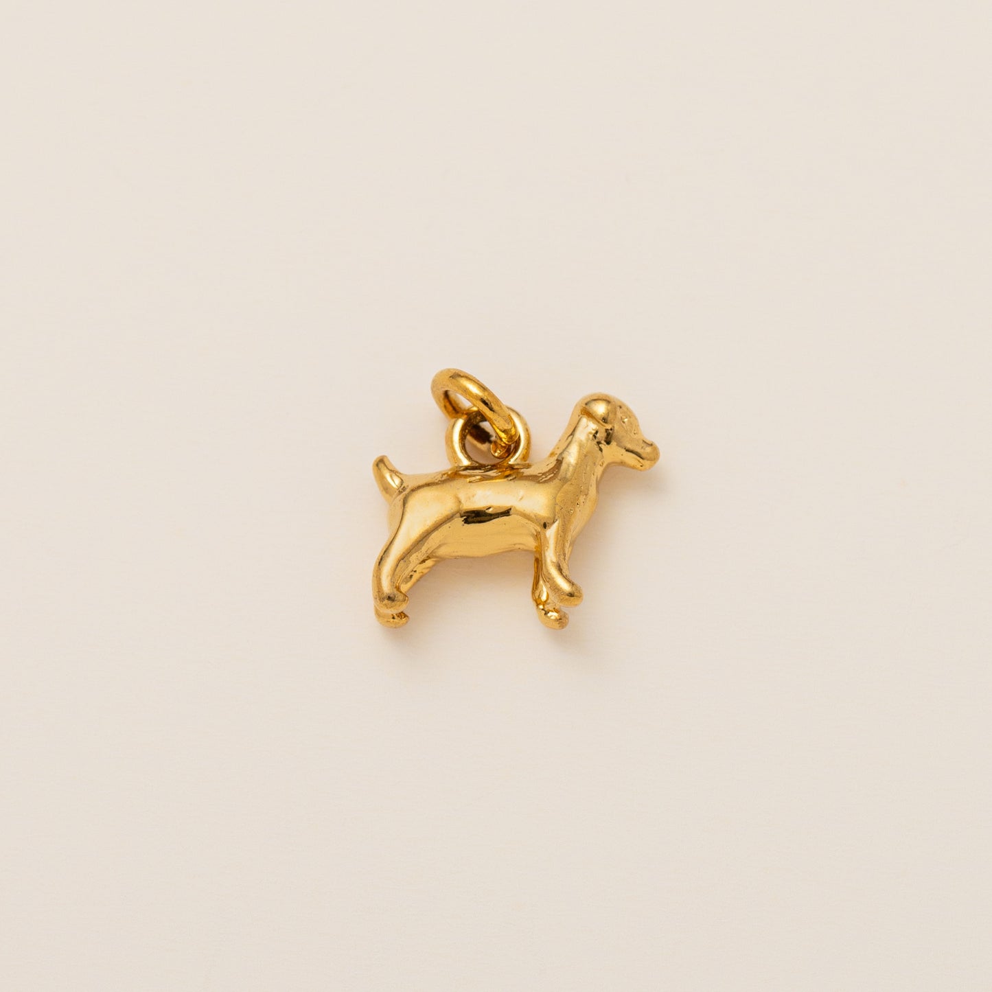 Streetwear Plated Titanium Steel Animal Pendant Charm Bar Necklace for Women