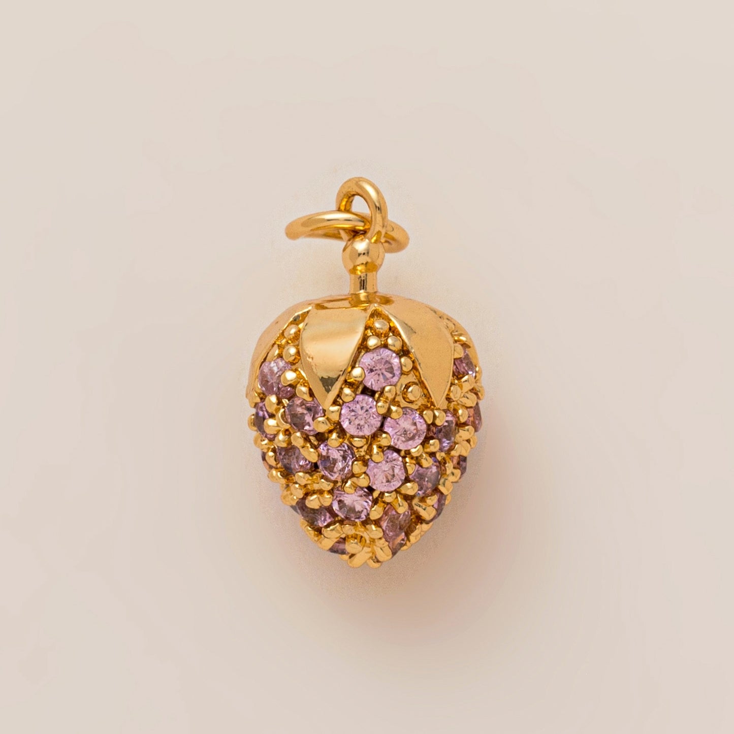 Minimalist Gold Plated Brass Plant Charm Bar for Shoes