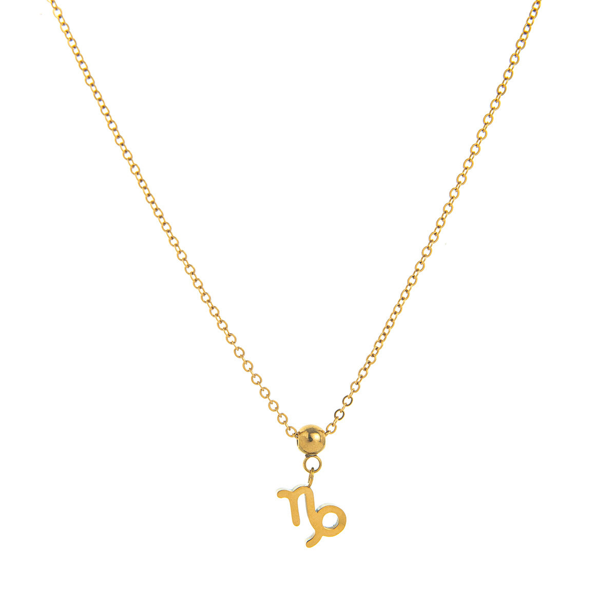 Zodiac Pattern Stainless Steel PVD Pendant