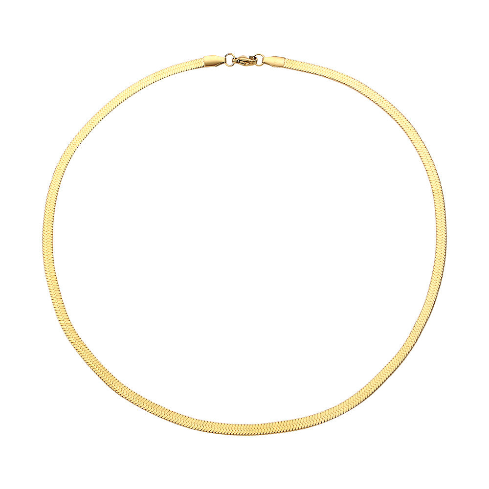 Minimalist Geometric Fishbone Collar Necklace Set with Stainless Steel Chain and Titanium Steel Pendant