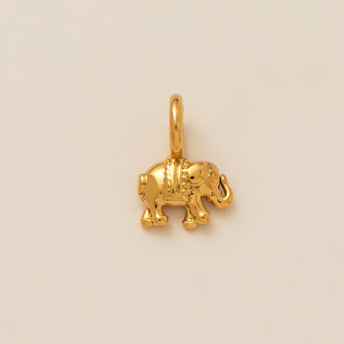 Minimalist PVD 18K Gold Plated Stainless Steel Animal Charm Bar