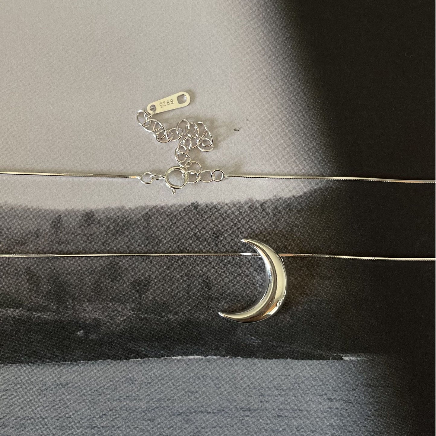 Collana Pendente Luna Minimalista in Argento Sterling 925 con Accento Geometrico