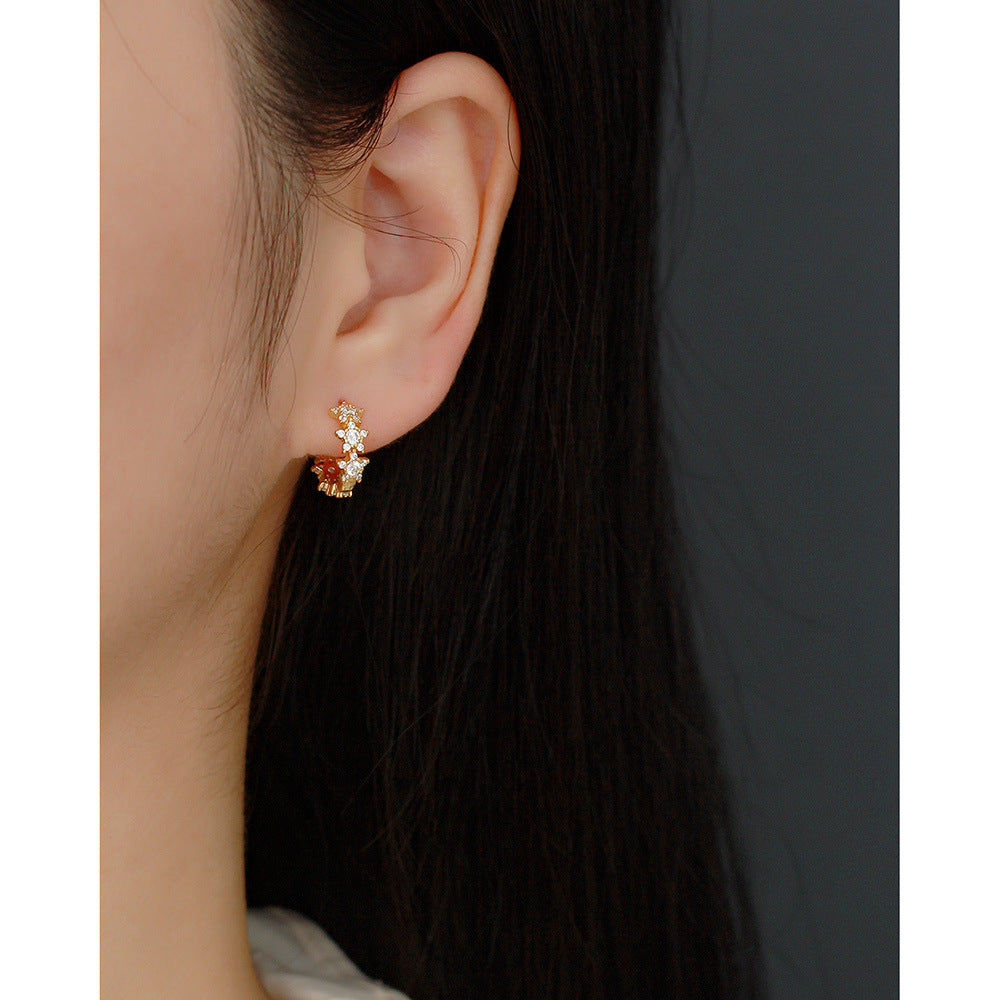 Luxury 925 Sterling Silver Star Rhinestone Inlay Earrings