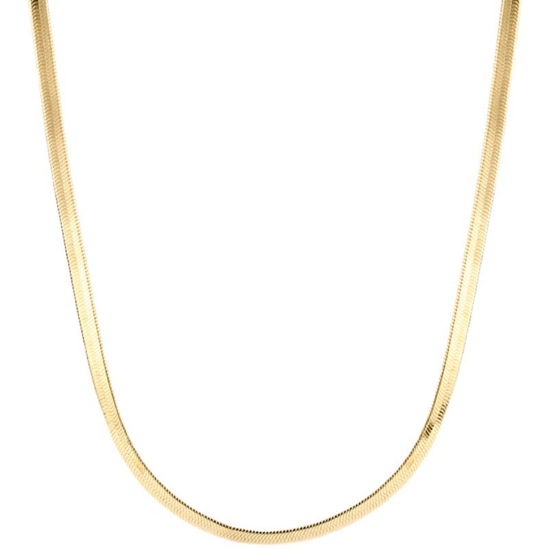 Collana a Catena a Serpente Minimalista Geometrica Placcata in Acciaio al Titanio per Unisex Stile Medaglione