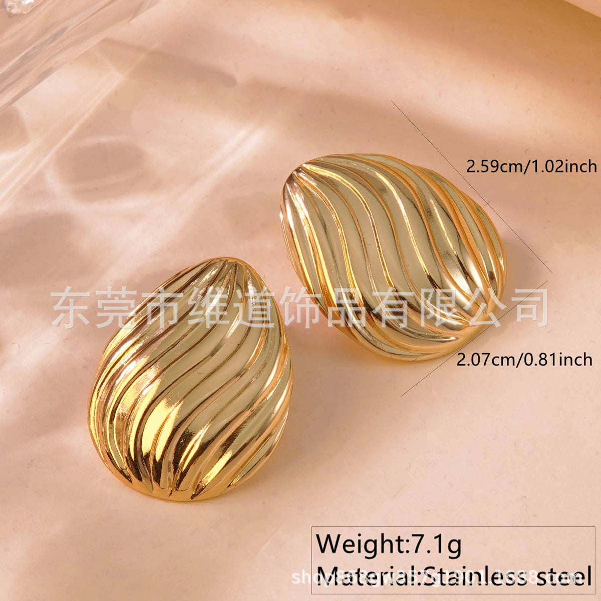 Beach Style Stainless Steel Geometric Starfish Shell Stud Earrings for Women